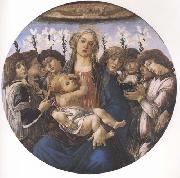 Sandro Botticelli Madonna and child with eight Angels or Raczinskj Tondo Sweden oil painting reproduction